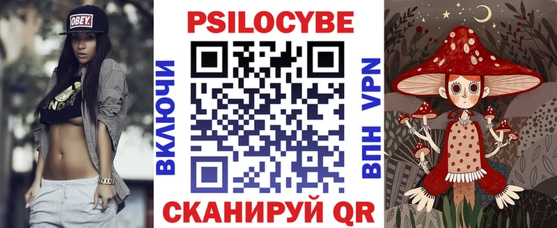 Псилоцибиновые грибы мухоморы  Купить закладки  Завитинск 